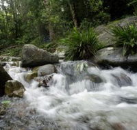 Washpool National Park - Accommodation Adelaide
