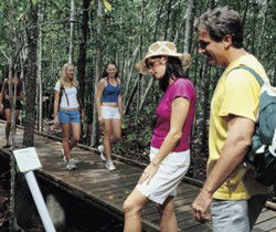 Toowoomba Water Bird Habitat - Accommodation Adelaide 1