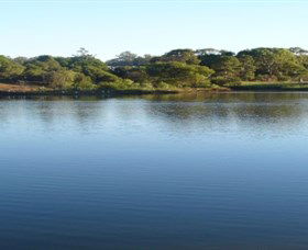 Toowoomba Water Bird Habitat - Accommodation Adelaide 2