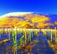 Surveyors Hill Winery - Accommodation Adelaide