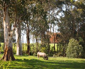 Ungulla Country Garden - Accommodation Adelaide 8