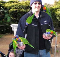 Canberra Walk In Aviary - Accommodation Adelaide