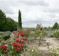 Crystal Brook Lavender Farm - Accommodation Adelaide