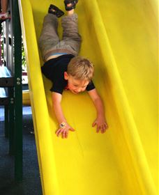 The Giant Mushroom - Accommodation Adelaide 1