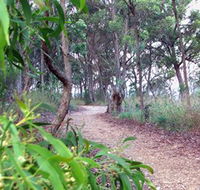 Mount Mutton Walking Trail - Accommodation Adelaide