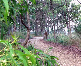 Mount Mutton Walking Trail - Accommodation Adelaide 0