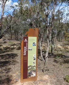 Mulligans Flat - Accommodation Adelaide 1