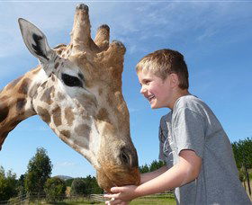 National Zoo & Aquarium - Accommodation Adelaide 3
