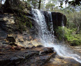 Spirit Safaris - Accommodation Adelaide 1