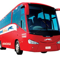 Greyhound Australia - Accommodation Adelaide