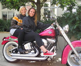 Wild Ride Harley And Motorcycle Tours - Accommodation Adelaide 0