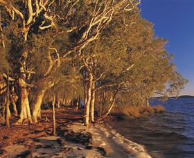 East Coast Adventure Bus - Accommodation Adelaide 2