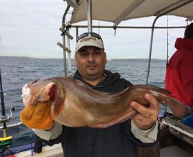 Deep Sea Fishing Charter - Accommodation Adelaide 5
