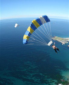 Skydive The Beach And Beyond Sydney - Wollongong - Accommodation Adelaide 6