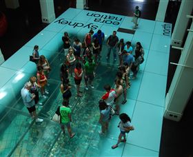 I'm Free Tours - Accommodation Adelaide 1