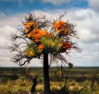 The Delmar Gallery - Accommodation Adelaide