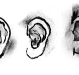 DAB LAB Research Gallery - Accommodation Adelaide