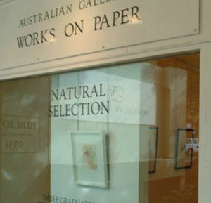 Australian Galleries - Roylston Street - Accommodation Adelaide 1