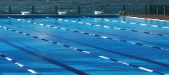 Andrew Boy Charlton Pool - Accommodation Adelaide 1