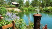 Gone Walkabout Safaris - Accommodation Adelaide 0