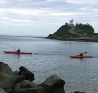 Newcastle Kayak Tours - Accommodation Adelaide
