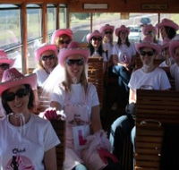 Newcastles Famous Tram - Accommodation Adelaide