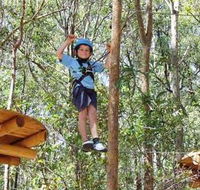 TreeTops Newcastle - Accommodation Adelaide