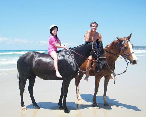 Pegasus Park Equestrian Centre - Accommodation Adelaide 1