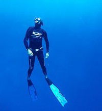 Byron Bay Dive Centre - Accommodation Adelaide 1