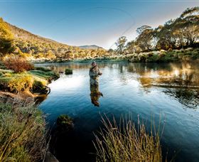 Tumut NSW Accommodation Adelaide