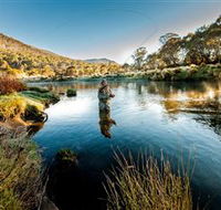 Fly Fishing Tumut - Accommodation Adelaide