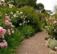 Ross Garden Tours - Accommodation Adelaide