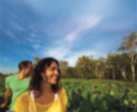 AAT Kings Guided Tours (Top End) - Accommodation Adelaide 3