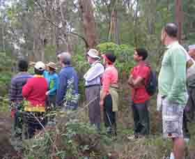 Boronia Tours - Accommodation Adelaide 0