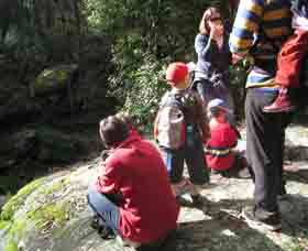 Boronia Tours - Accommodation Adelaide 2