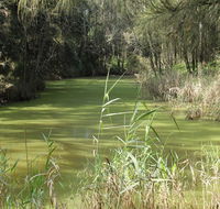 Second Ponds Creek walk - Accommodation Adelaide
