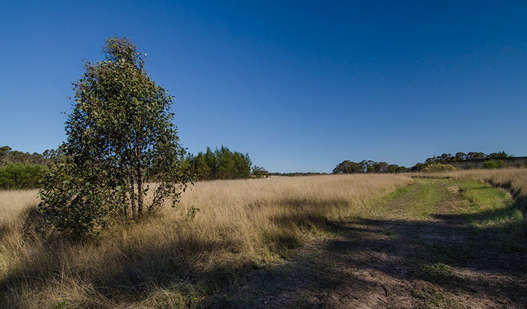 Oakville NSW Accommodation Adelaide