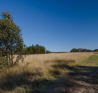 Scheyville horse riding trails - Accommodation Adelaide