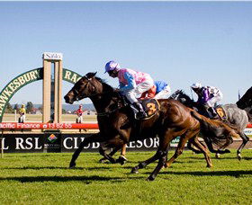 Hawkesbury Race Club - Accommodation Adelaide 1