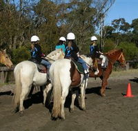 Darkes Forest Riding Ranch - Accommodation Adelaide