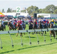 Morphettville Racecourse - Accommodation Adelaide