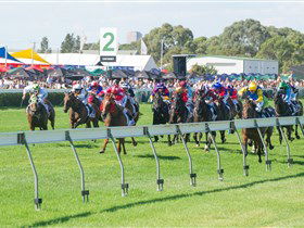 Morphettville Racecourse - Accommodation Adelaide 0