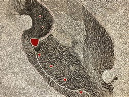 Book Adelaide SA Attractions Accommodation Adelaide Accommodation Adelaide