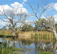 Lagoon Creek - Accommodation Adelaide