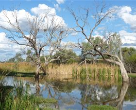 Lagoon Creek - Accommodation Adelaide 0