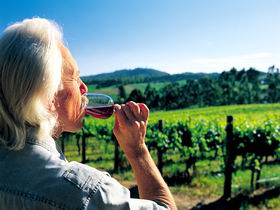 Ashton Hills Vineyard - Accommodation Adelaide 0
