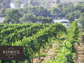 Banrock Station Wine And Wetland Centre - Accommodation Adelaide 0