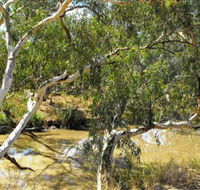 Quilberry Creek Fishing - Accommodation Adelaide
