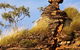 Mirima (Hidden Valley) National Park - thumb 1