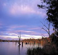 Loch Luna Game Reserve and Moorook Game Reserve - Accommodation Adelaide